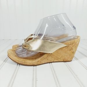 Alex Marie Platform Wedge Thong Sandals C172